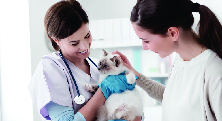 Auxiliar Veterinário 3.0 (Pequeno Porte)